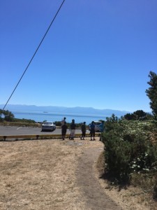 IMG_1883
