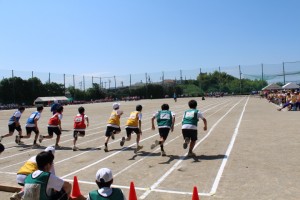 IMG_2587