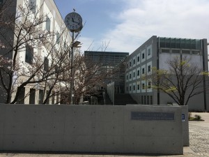 IMG_3042