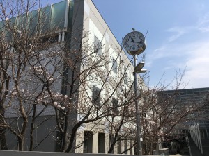 IMG_3043