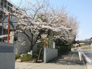 IMG_3044