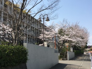 IMG_3045