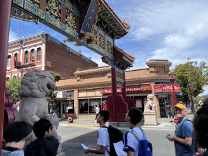 IMG_8914